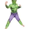 Rubies Deerfield Costumes Avengers Hulk Assemble Classic Jumpsuit Size 3-5 Boys Costume