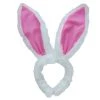 Balloon Agencies Easter Bunny Ears Headband