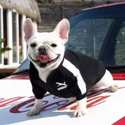 Crazy Costume Deals Puma Sports Hoodie Warm Winter Jumper Pet Dog Clothing Small To Huge Dogs Costumes