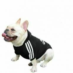Crazy Costume Deals Costumes ADIDAS Sports Hoodie Warm Winter Jumper Pet Dog Clothing Small To Huge Dogs